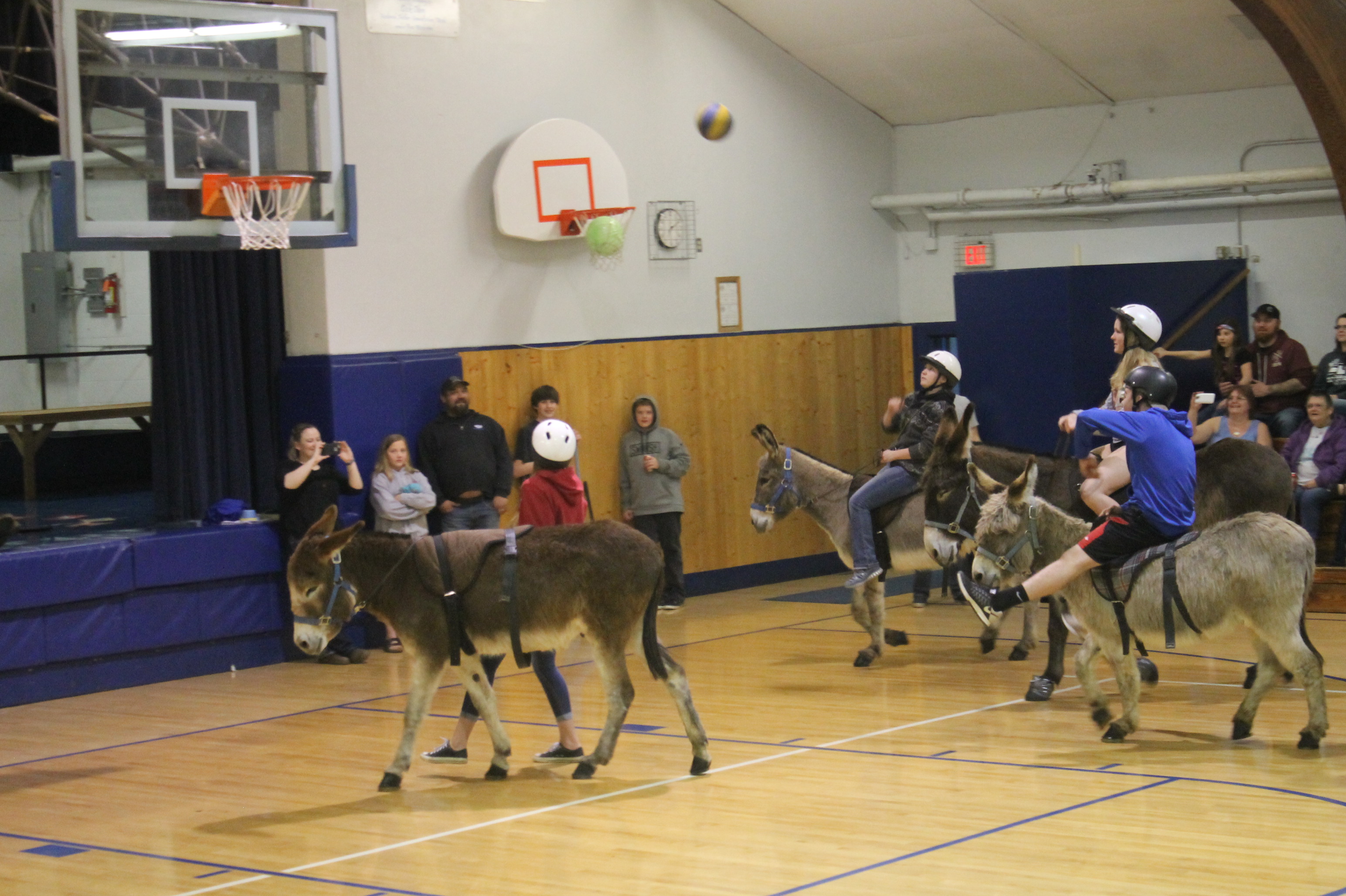 Students riding on donkeys playijng basketball
