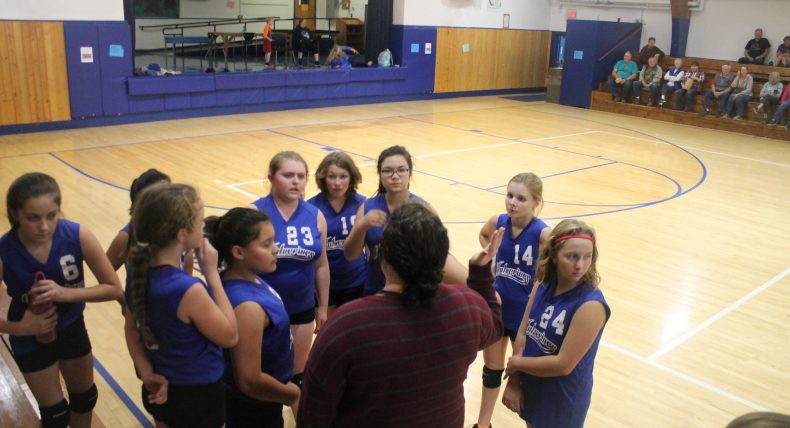 Middle School Volleyball – January 2018 Wolverine Herald
