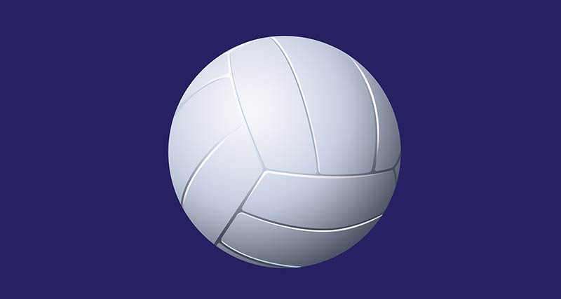 Head Volleyball Coach